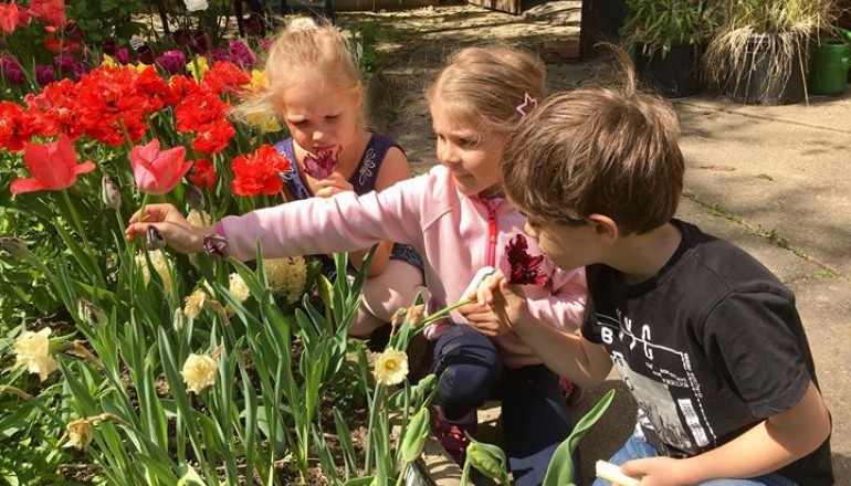 Zahrada školy Cesta k úspěchu